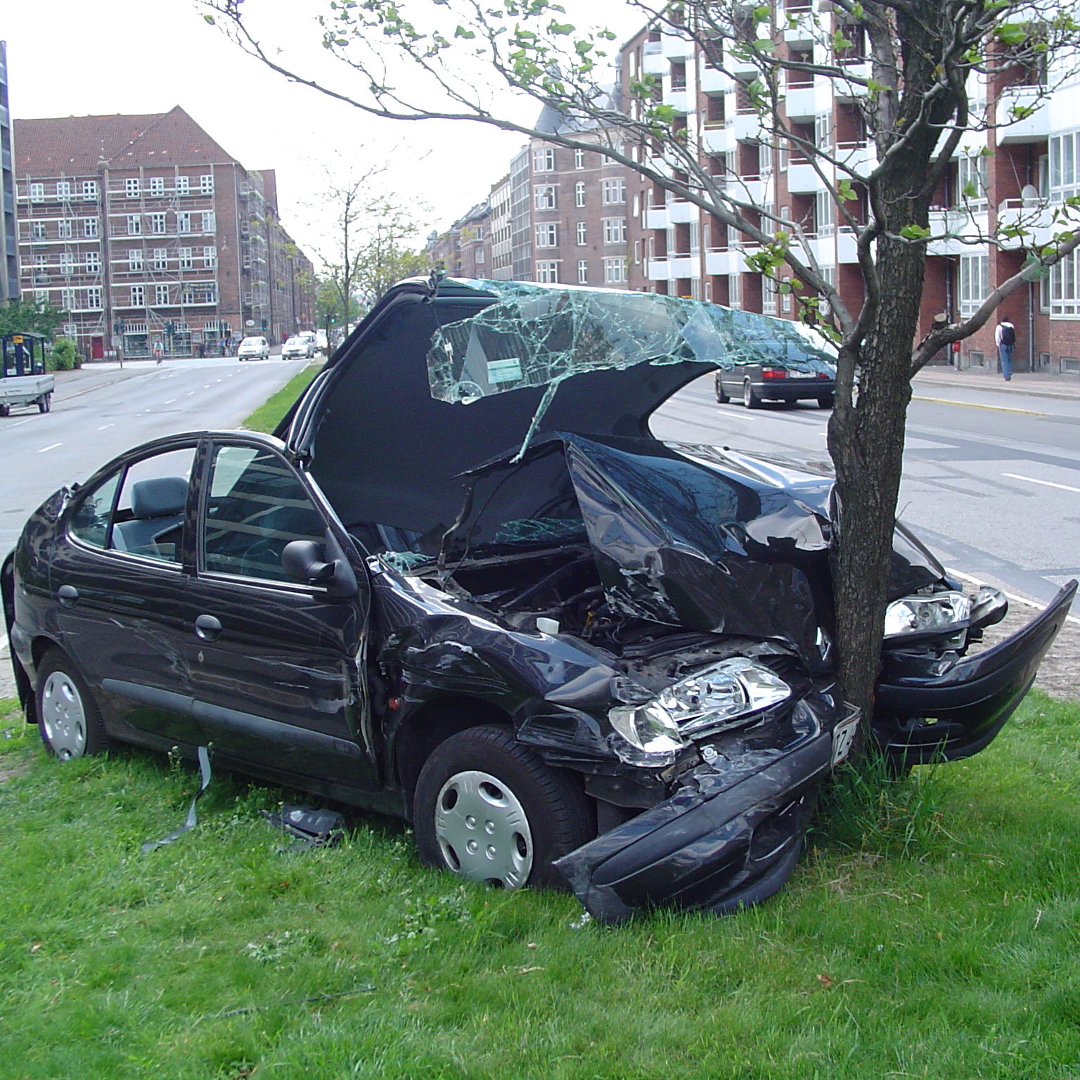 Air India Plane Takes Unexpected Detour into Tree, Congress Suddenly Experts in Aerodynamics and Grief Counseling