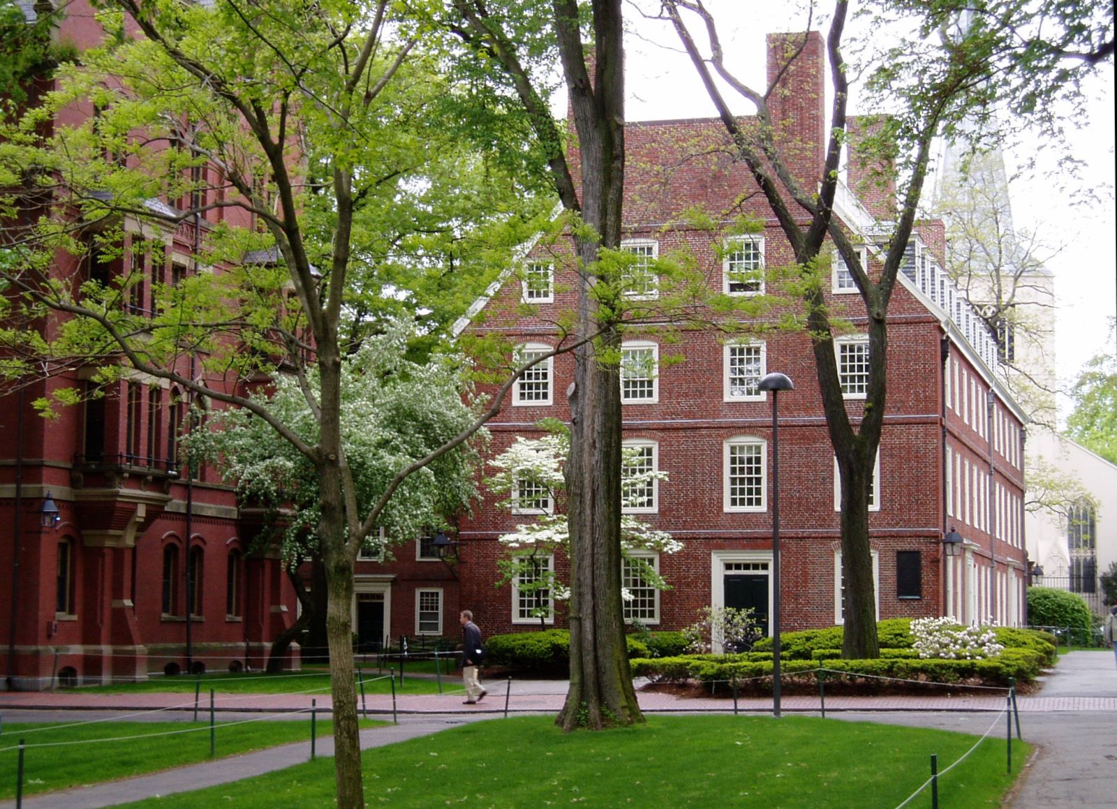 Trump Takes Dershowitz's Advice on Defunding Harvard, Targets Student Cafeterias First!